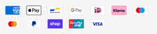 Logos of various payment methods on a white background