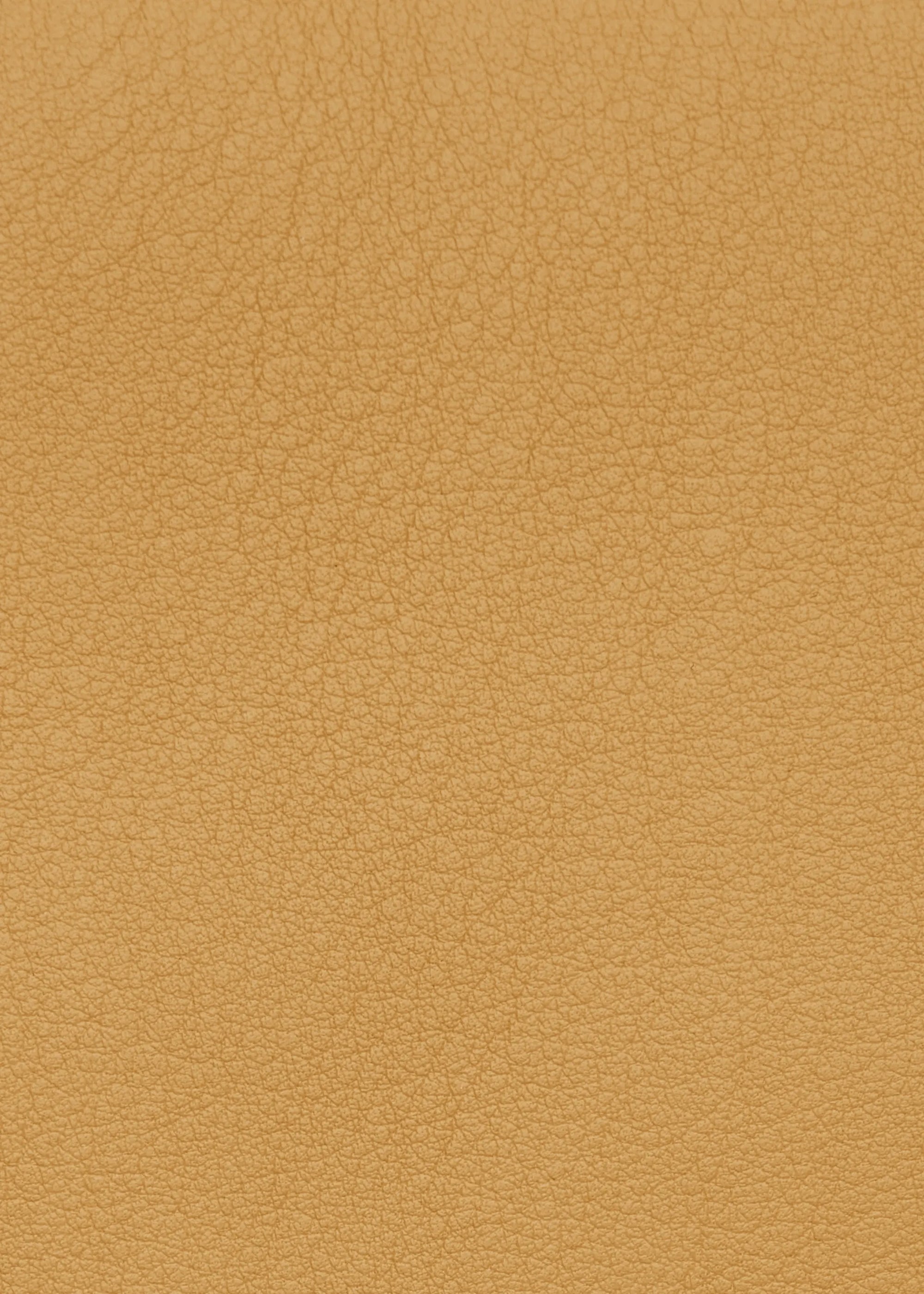 Texture view of the yellow Philini Domi Handbag in soft nappa leather, showing dome shape, short handles, front zip pocket, and silver hardware. A stylish and handcrafted everyday leather bag 